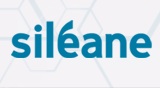 sileane