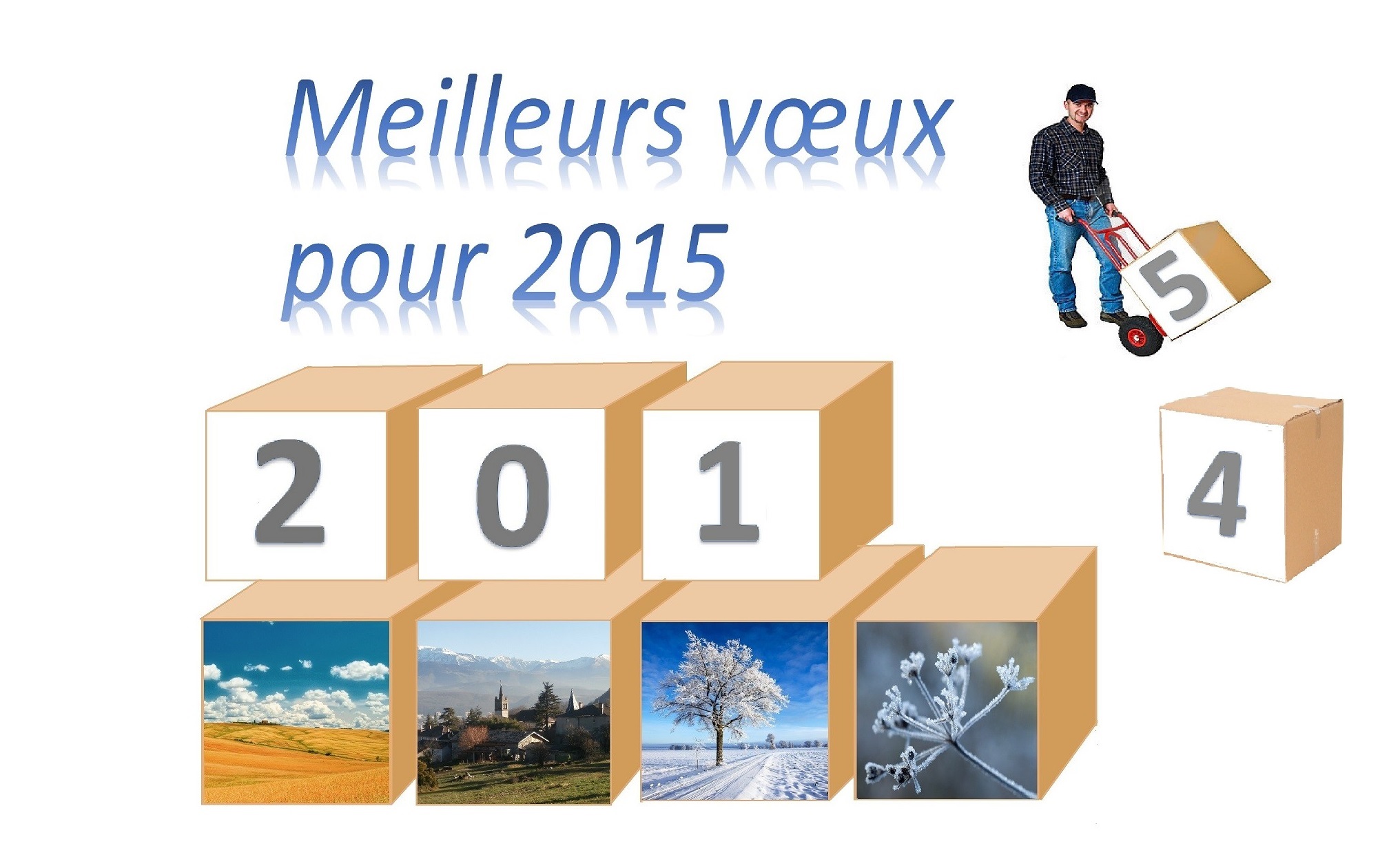 Voeux 2015